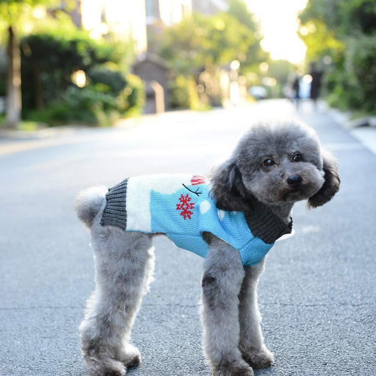Weihnachts Hundepullover - Warmer Winter-Sweater für kleine Hunde