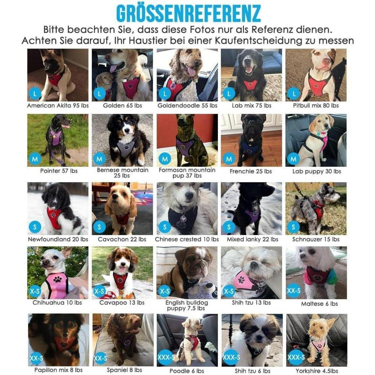 Hundegeschirr Auto Sicherheitsgurt Set – Atmungsaktiv, Rot, XS