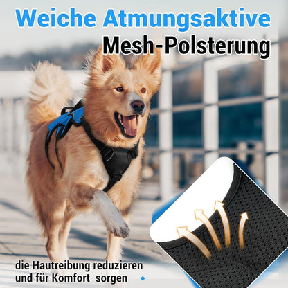 Ausbruchsicheres Hundegeschirr mit Griff, Blau M