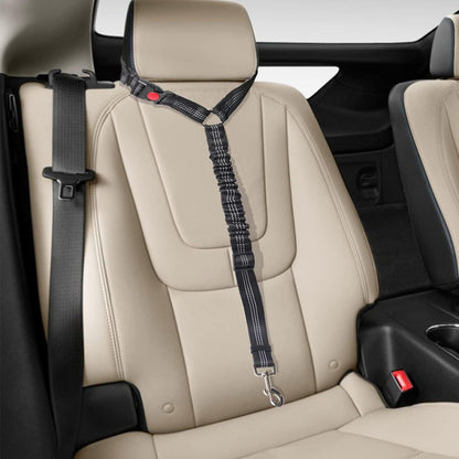 Hundesicherheitsgeschirr Auto – Reflektierend & Anti-Shock