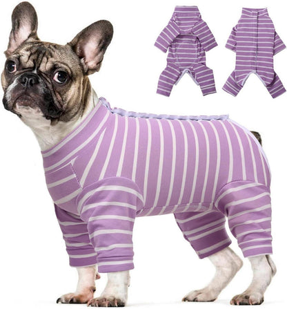 Hundebody Nach Op Kastration Vierfüßler Hundepyjama Lila