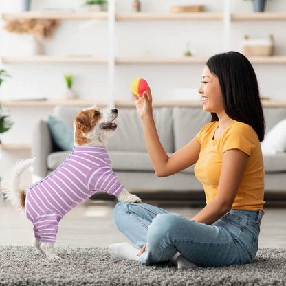 Hundebody Kastration Op Hundepyjama Op Body Lila für Kleine Mittelgroße Katzen S