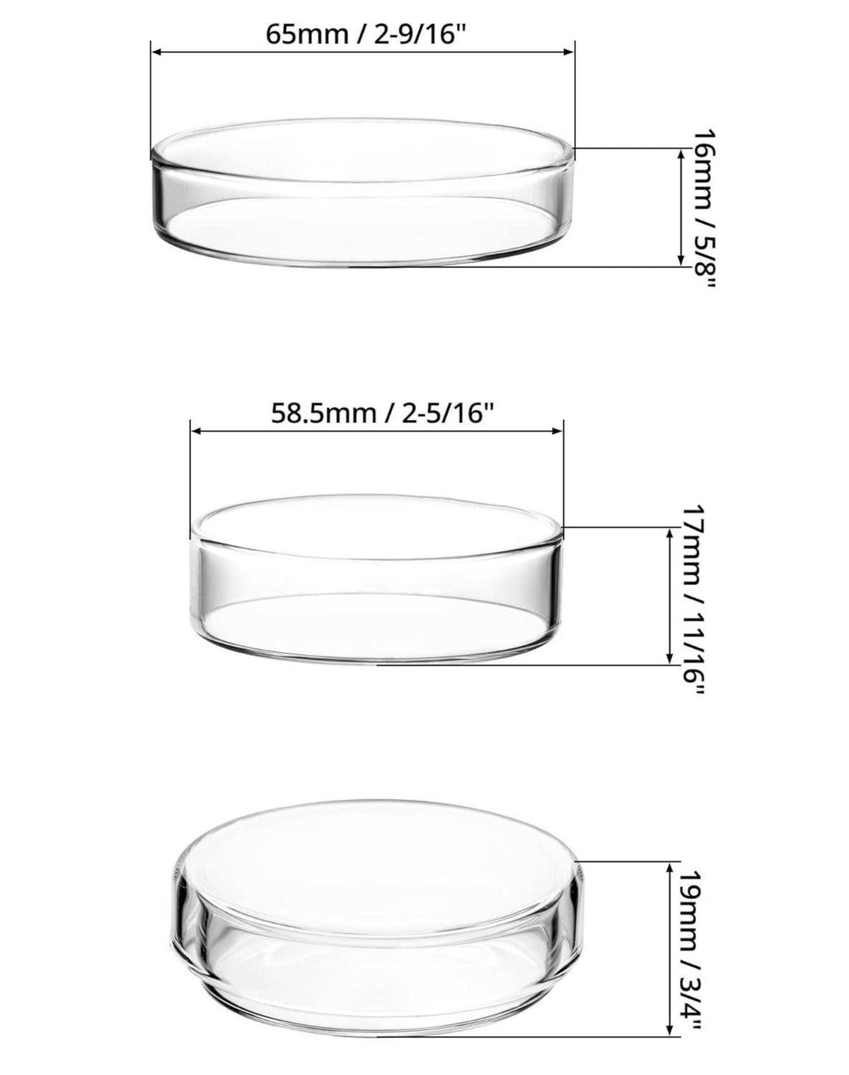 Glas Petrischalen mit Deckel Hochborosilikatglas Laborkultur 60mm x