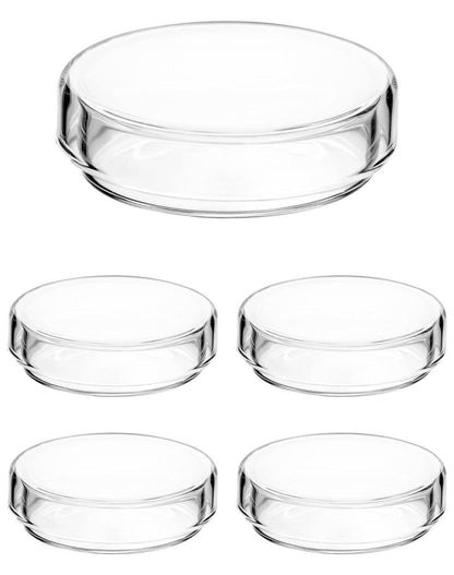 5er Set QWORK Glas Petrischalen mit Deckel 60mm x 18mm