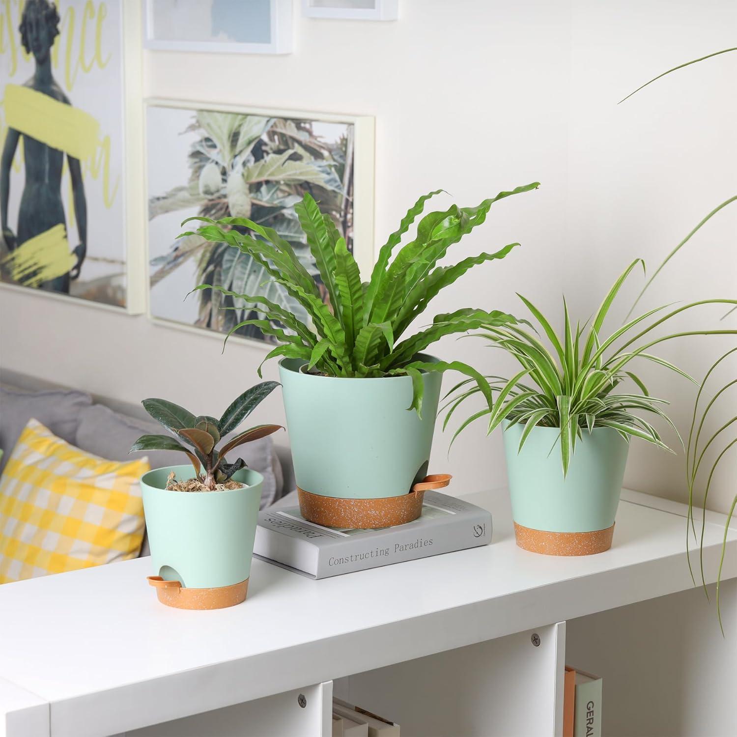 T4U 14cm Blumentopf mit Selbstbewässerung, 3er-Set für Sukkulenten, Kakteen, Grün