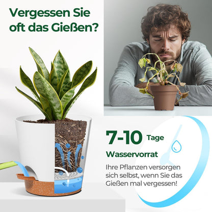 T4U 20cm Selbstbewässerndes Kunststoff Blumentopf 3er-Set