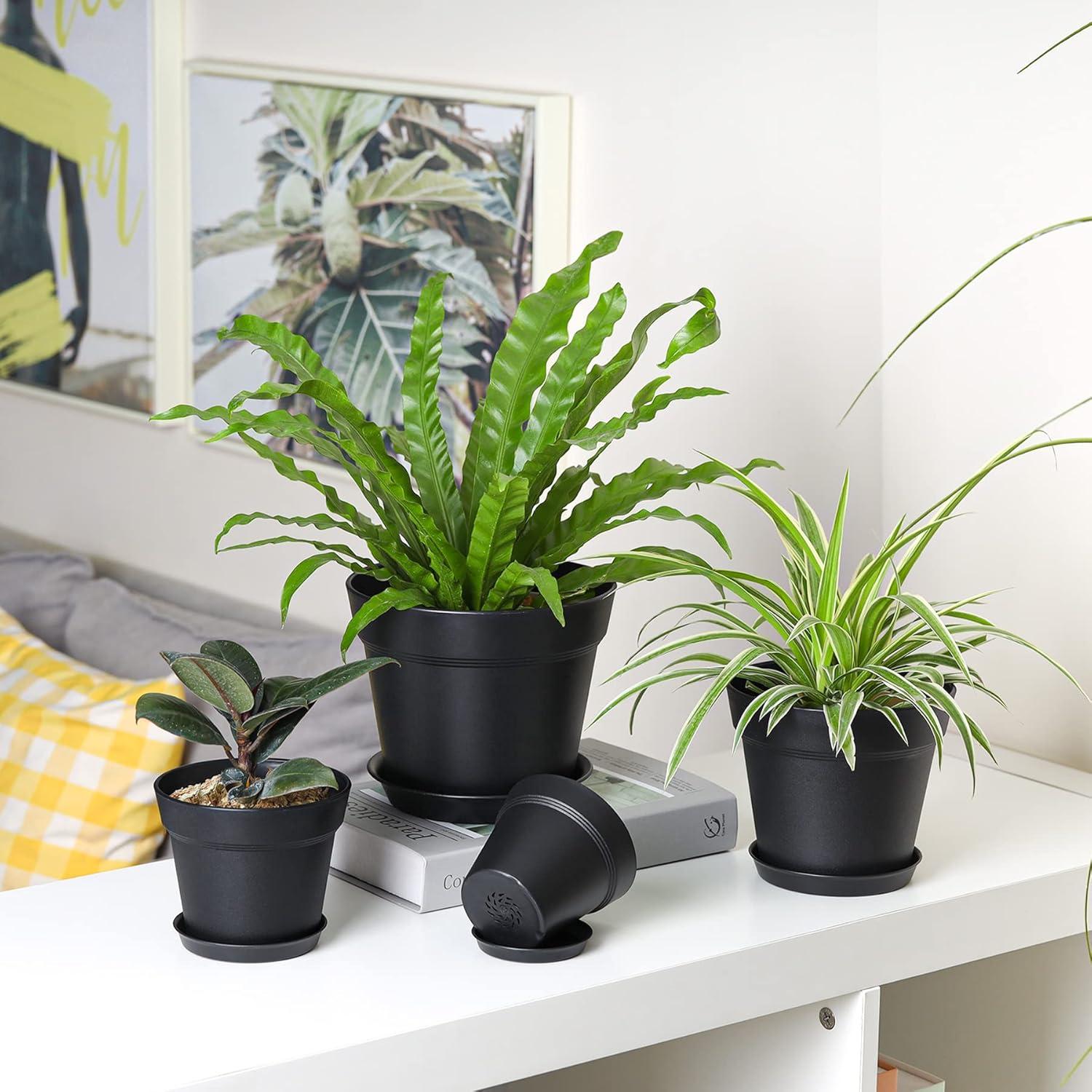 Kunststoff Blumentopf 16cm mit Untersetzer 6er Set Schwarz Sukkulenten Kaktus