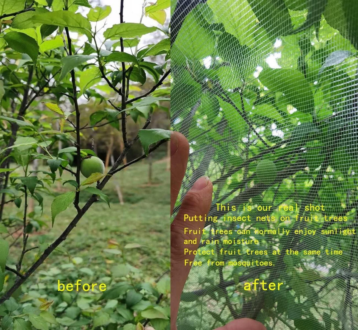 Insektennetz für Garten und Obstbäume 1.8m x 1.8m mit Reißverschluss