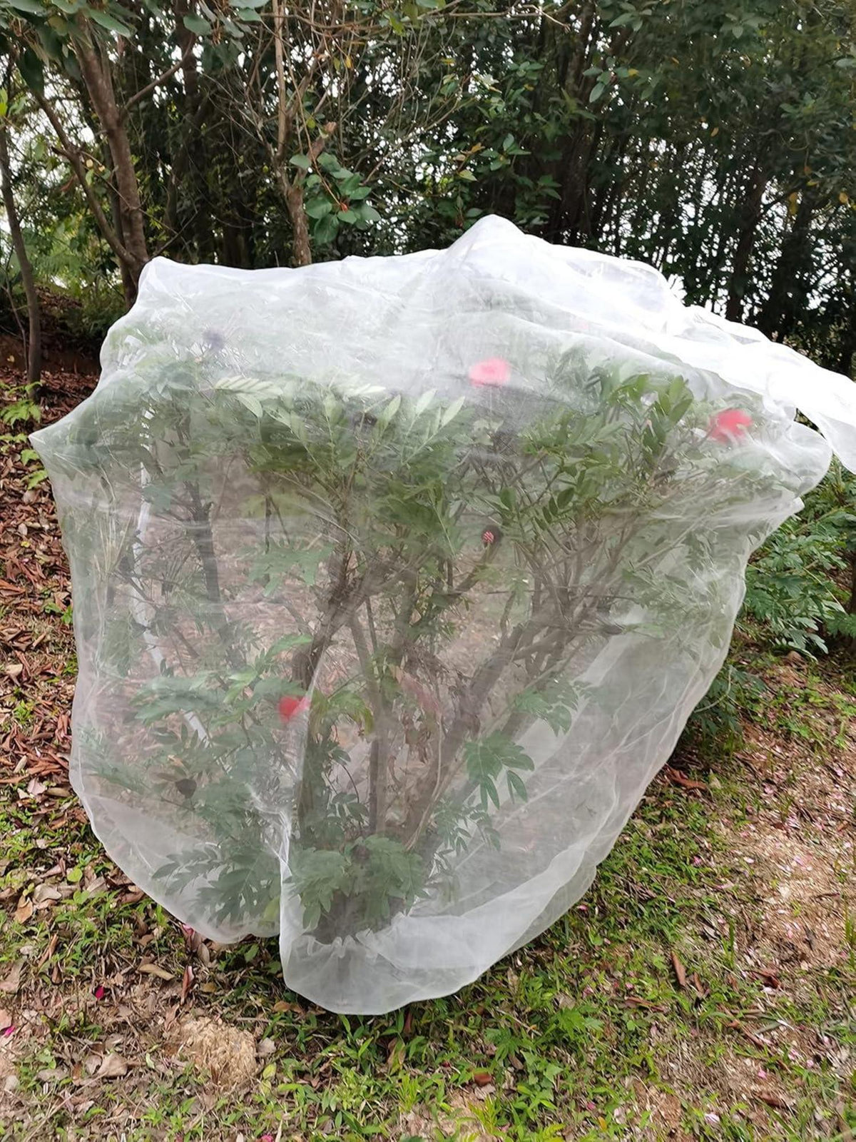 Pflanzenschutznetz Insekten Garten 1.8x1.8m Reißverschluss Zugband