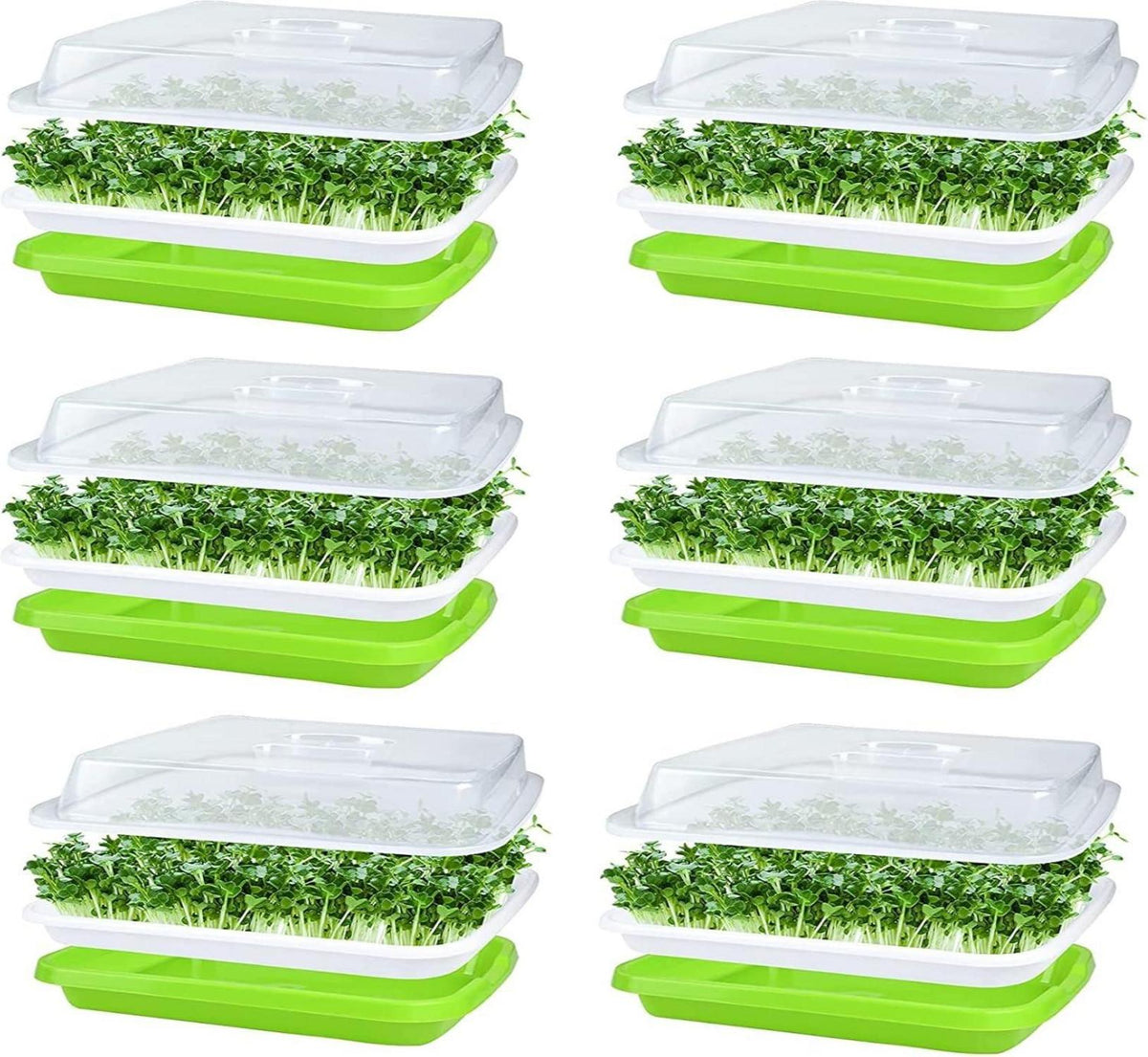 Keimschale Sprossen 6Pcs Seed Sprouter Tray Deckel groß Samen Tablett