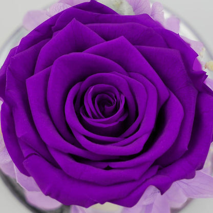 Ewige Rose Engel Figur Glaskuppel Rote Rosen Mutter Geschenk