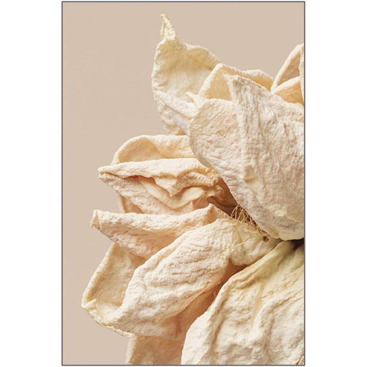 3er Poster Set Beige Blumen Wandbilder 40x50 cm