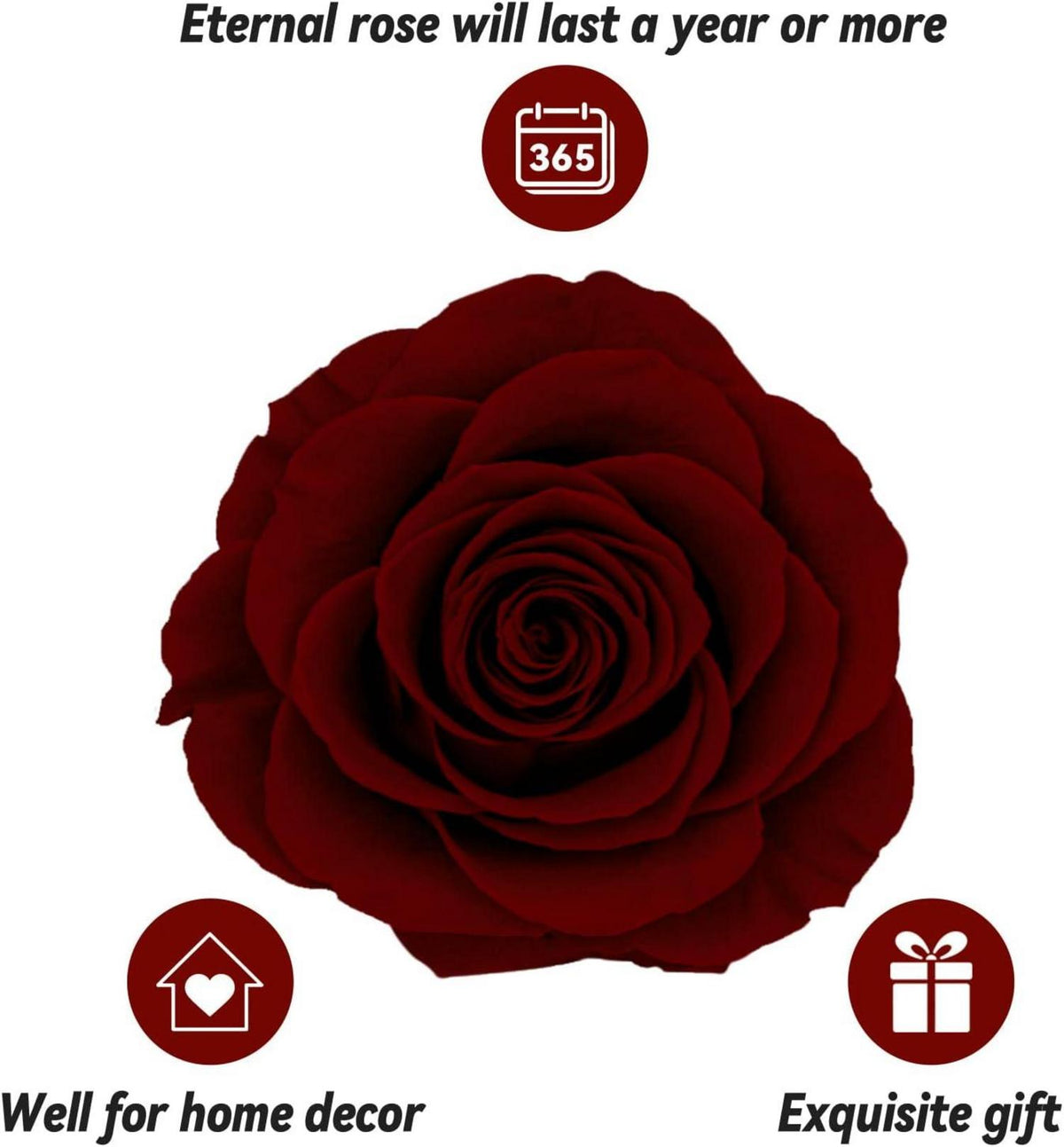 Ewige echte Rose mit I Love You Halskette in Weinrot-Geschenkbox