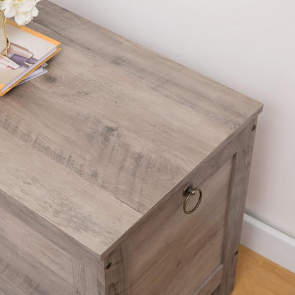 Truhe mit Stauraum, 100 cm, Greige