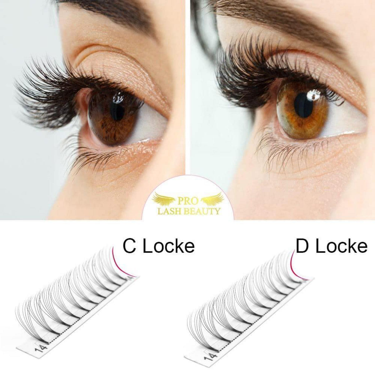 Fertige Wimpernfächer 7D-D 0.07 10mm C Curl Volumen Wimpern