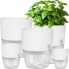 Selbstbewässernder Kräutertopf für die Küche, 5er Set