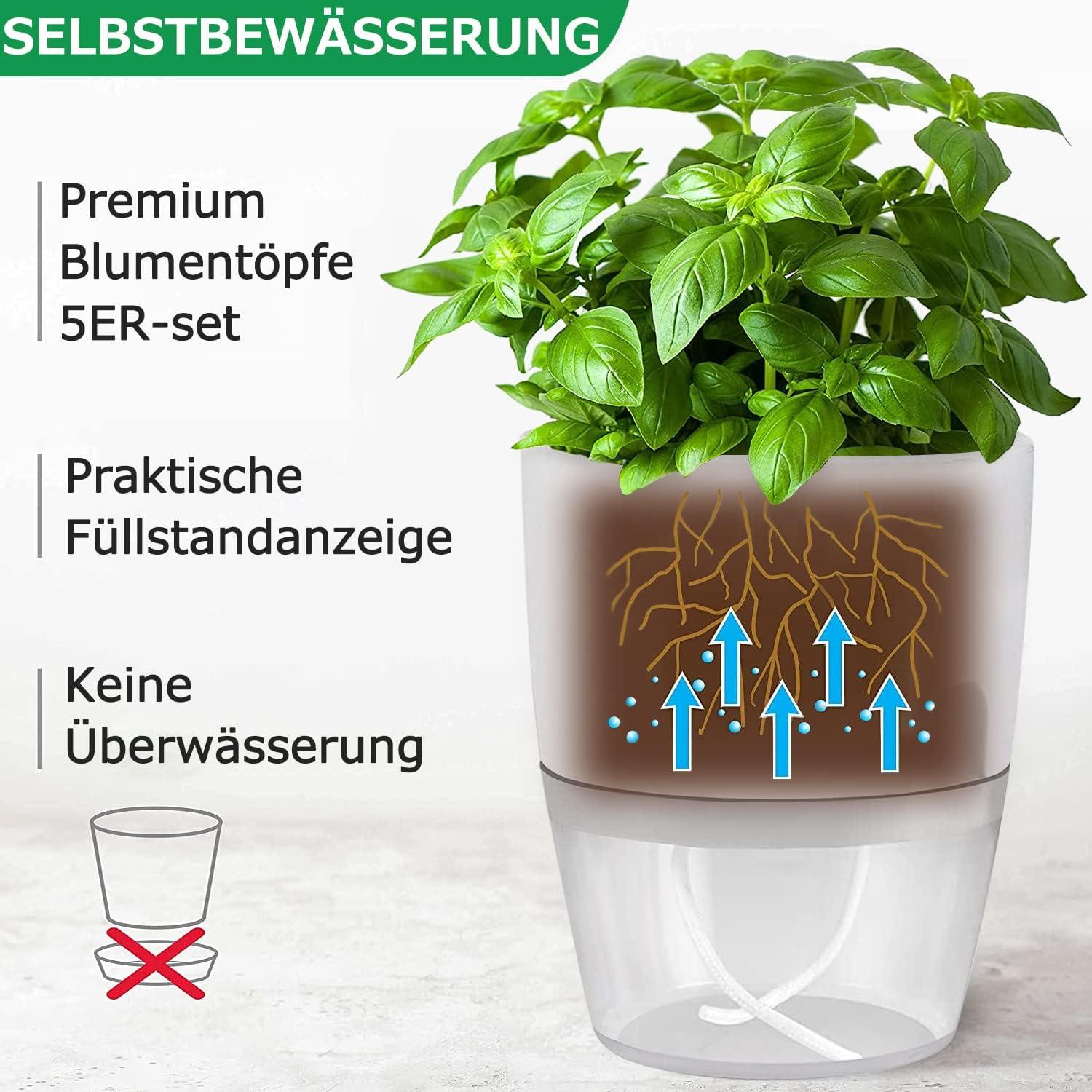 Selbstbewässernder Kräutertopf für die Küche, 5er Set
