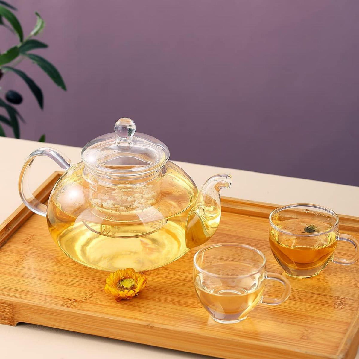 Teekanne aus Glas mit herausnehmbarem Teesieb und 4