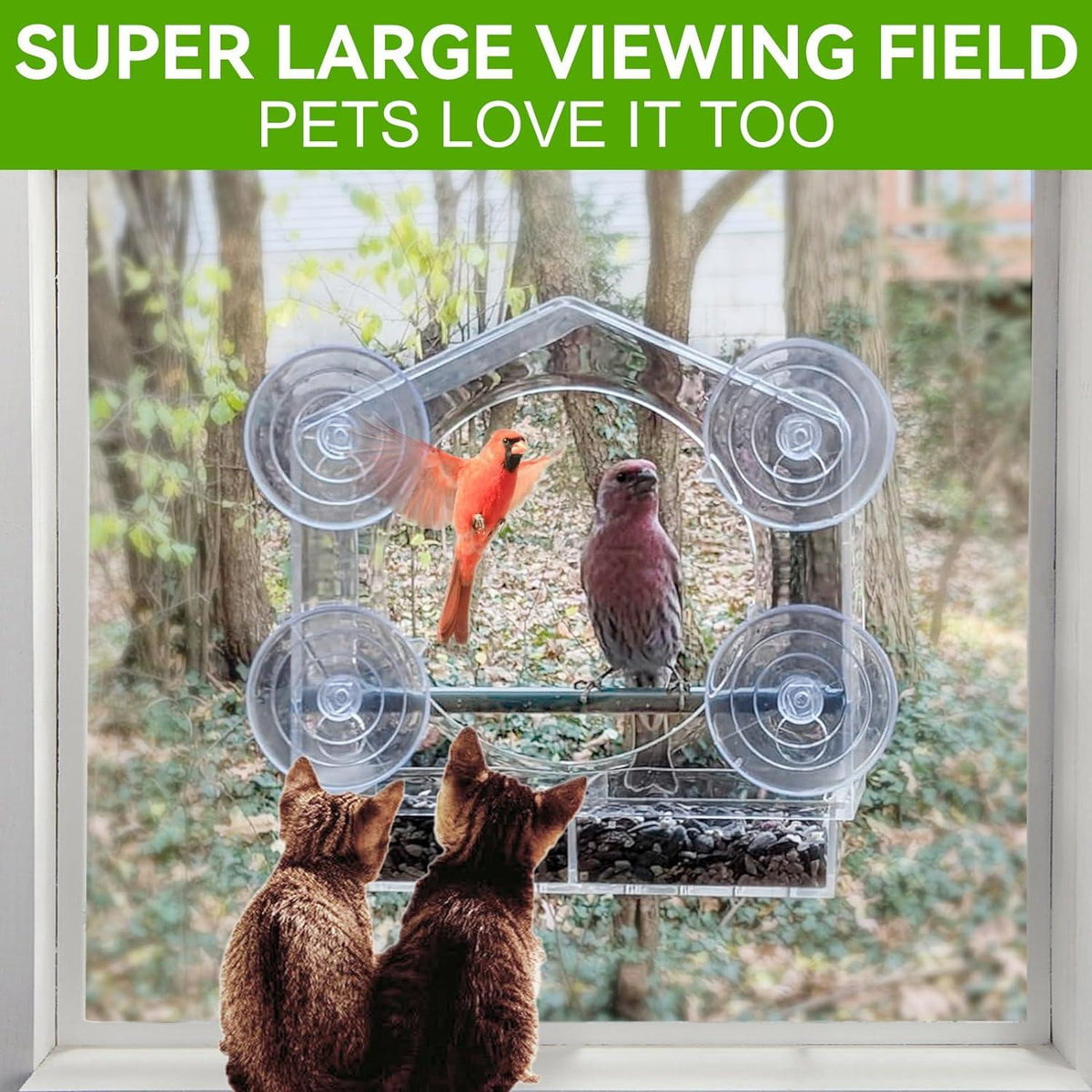 Transparentes Fenstervogelhaus mit starken Saugnäpfen und großer Futterschale
