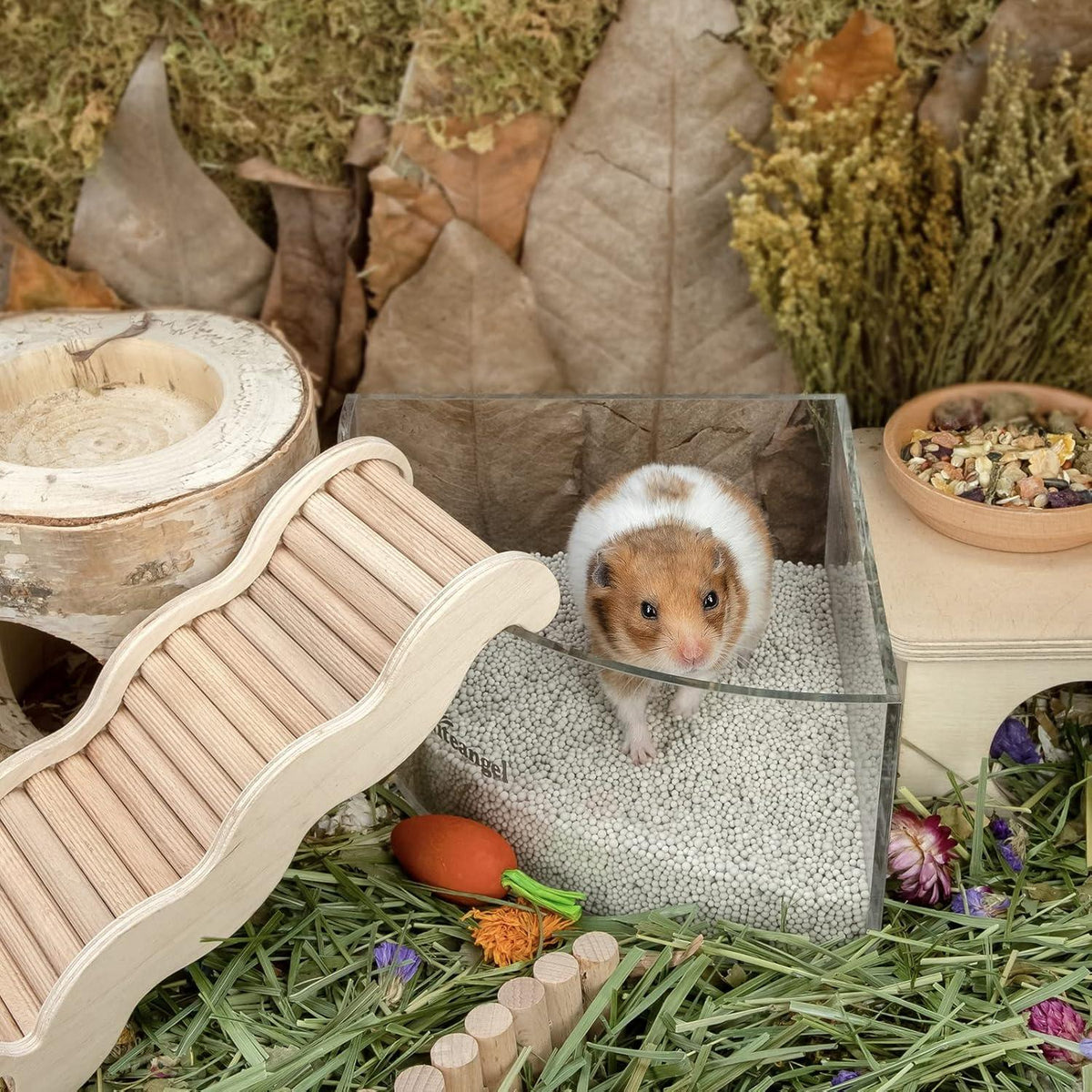 Niteangel Hamster Sandbad 1,4L x 2 - Lila Label für kleine Haustiere