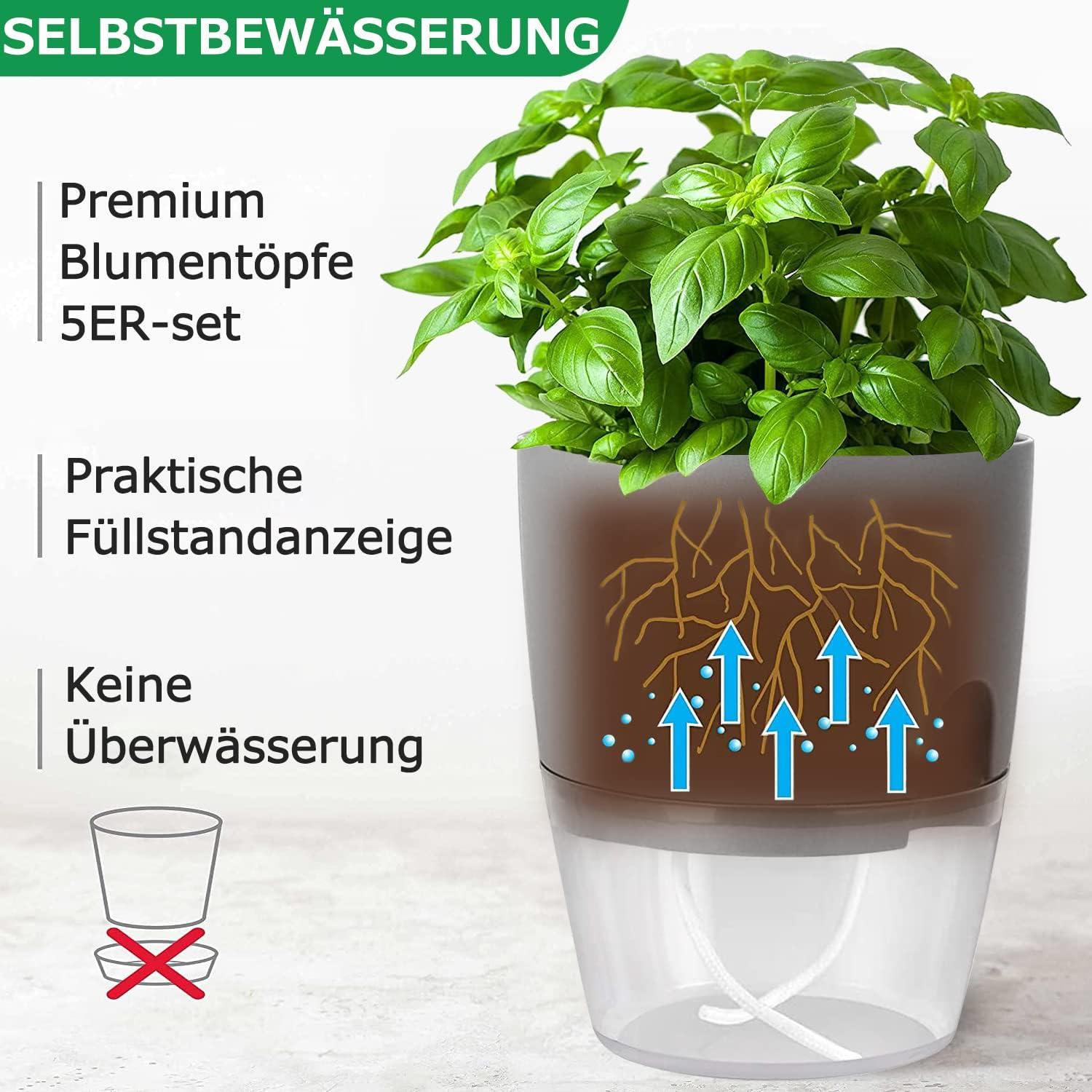Selbstbewässernder Kräutertopf Set für die Küche, 5er Pack