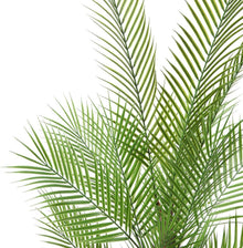 Künstliche Areca Palme 120cm im Topf - 2er Pack
