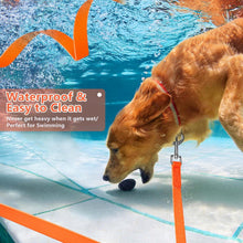 Trainingsleine für Hunde wasserdicht 5m orange galaxieuer007