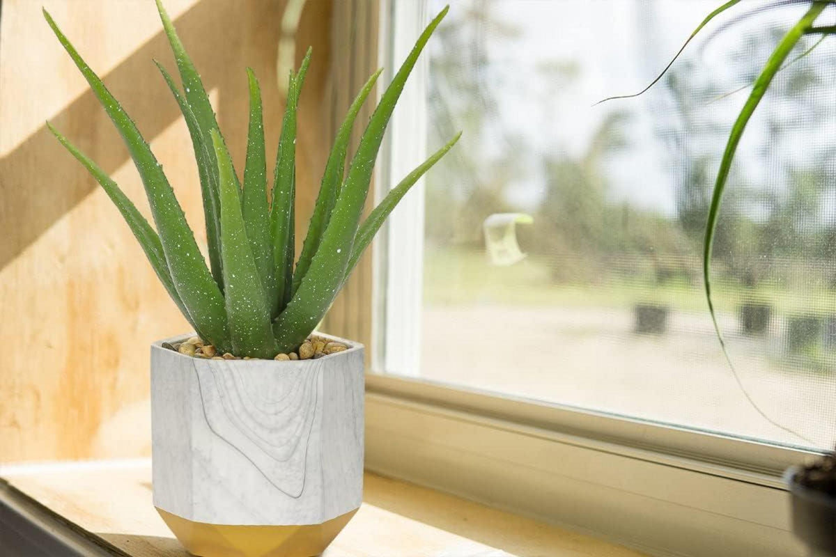 Kunstpflanze Aloe Vera Keramiktopf Deko Briful 33cm
