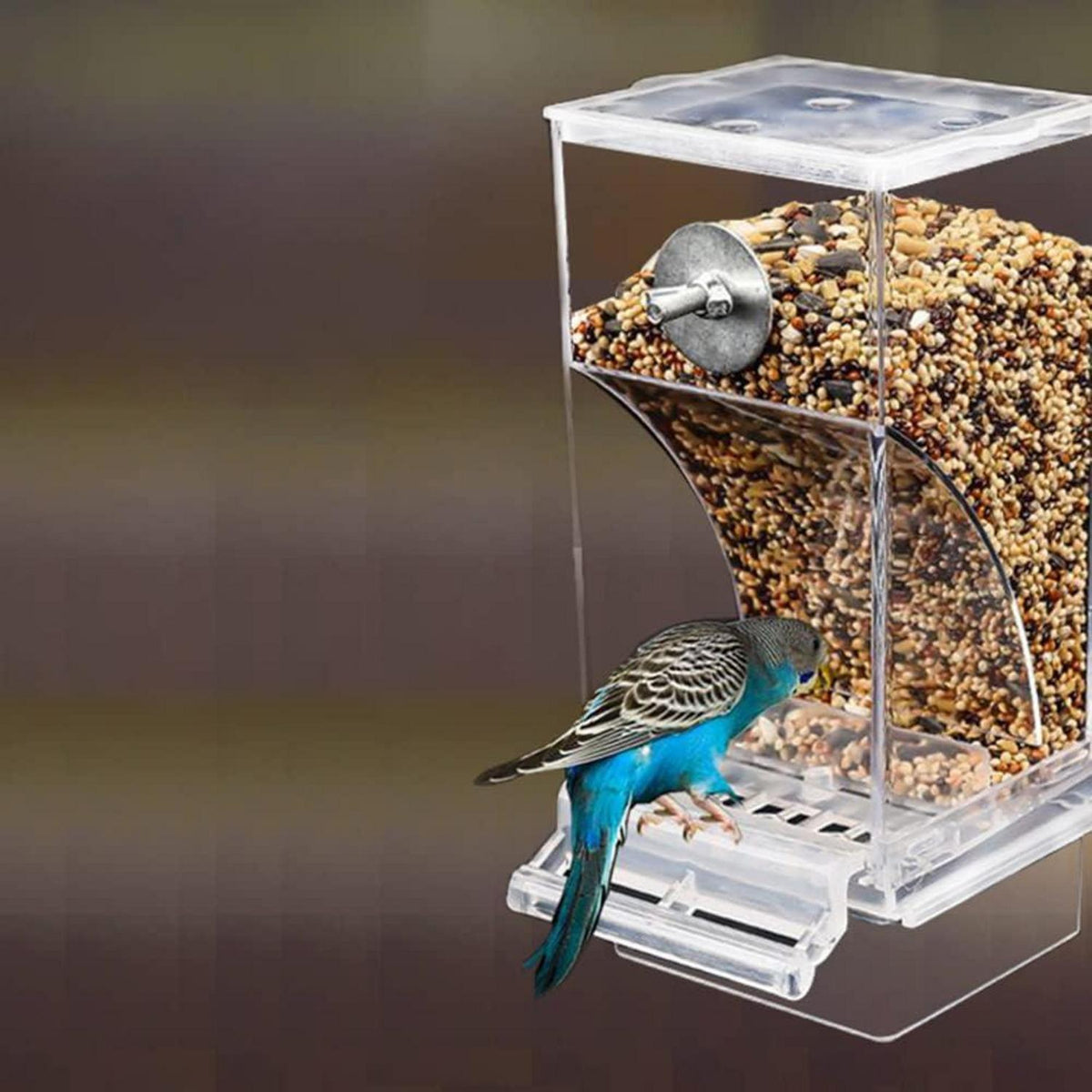 Automatischer Vogelfutterspender für Papageien - transparent 18,5 x 8,5 x 7,5 cm