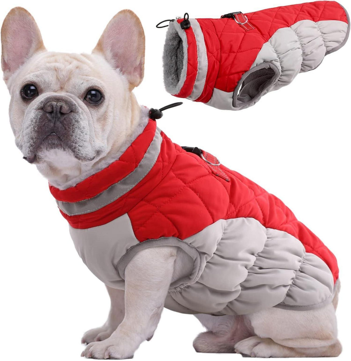 Wasserdichter Hundemantel für kaltes Wetter, warme Winterjacke
