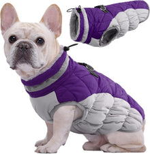 Wasserdichter Hundemantel für kaltes Wetter, Winterjacke für Hunde