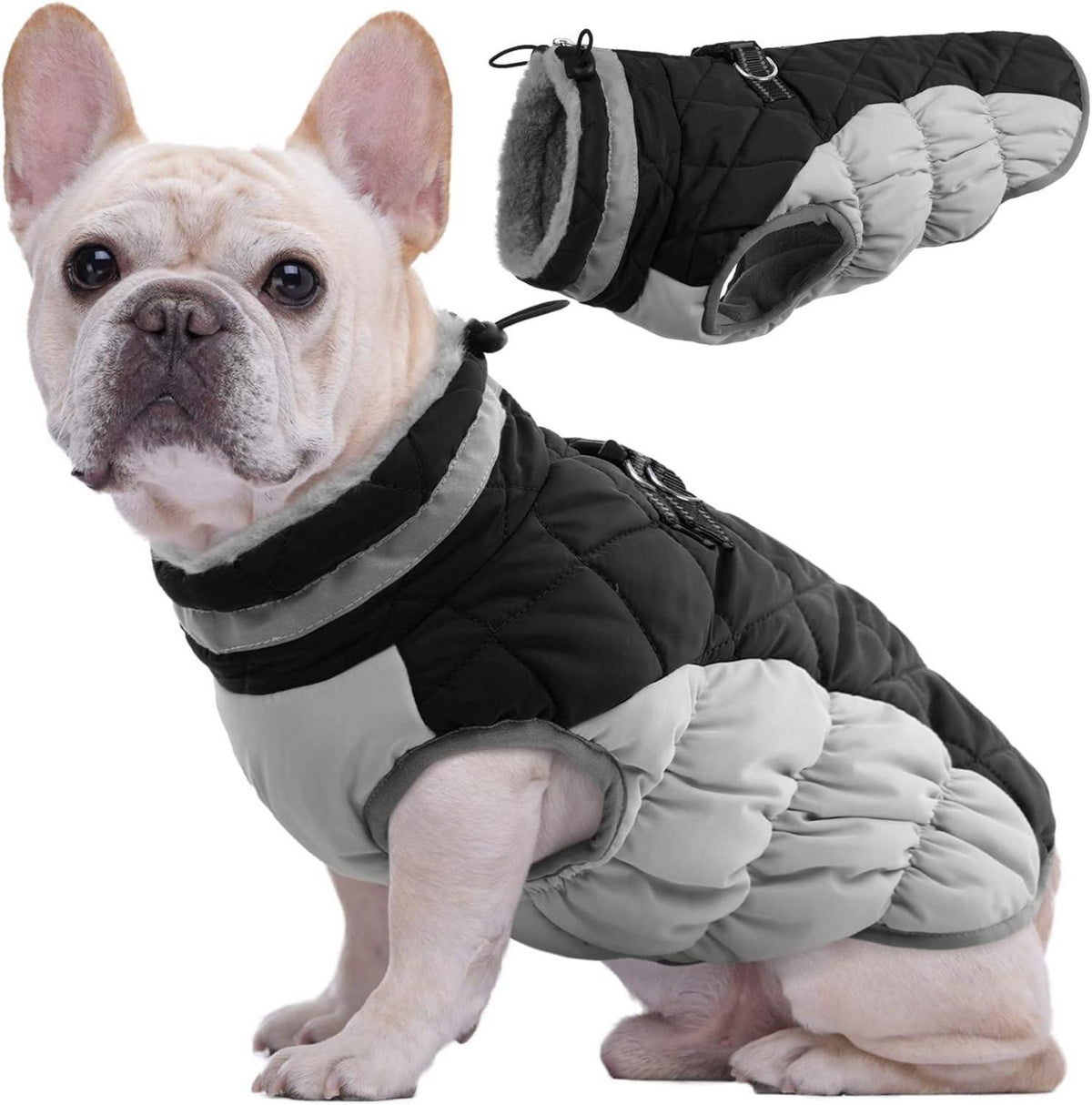 Kuoser Wasserdichter Hundemantel Winterjacke mit Fleecefutter  XS
