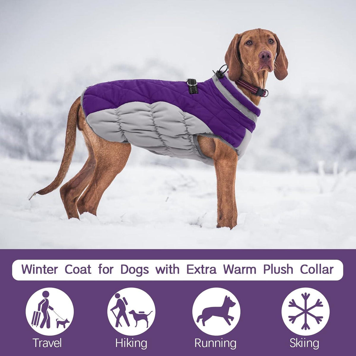 Wasserdichter Hundemantel für Kleine bis Große Hunde, Fleece Gefütterte Reflektierende Winterjacke - Lila - M