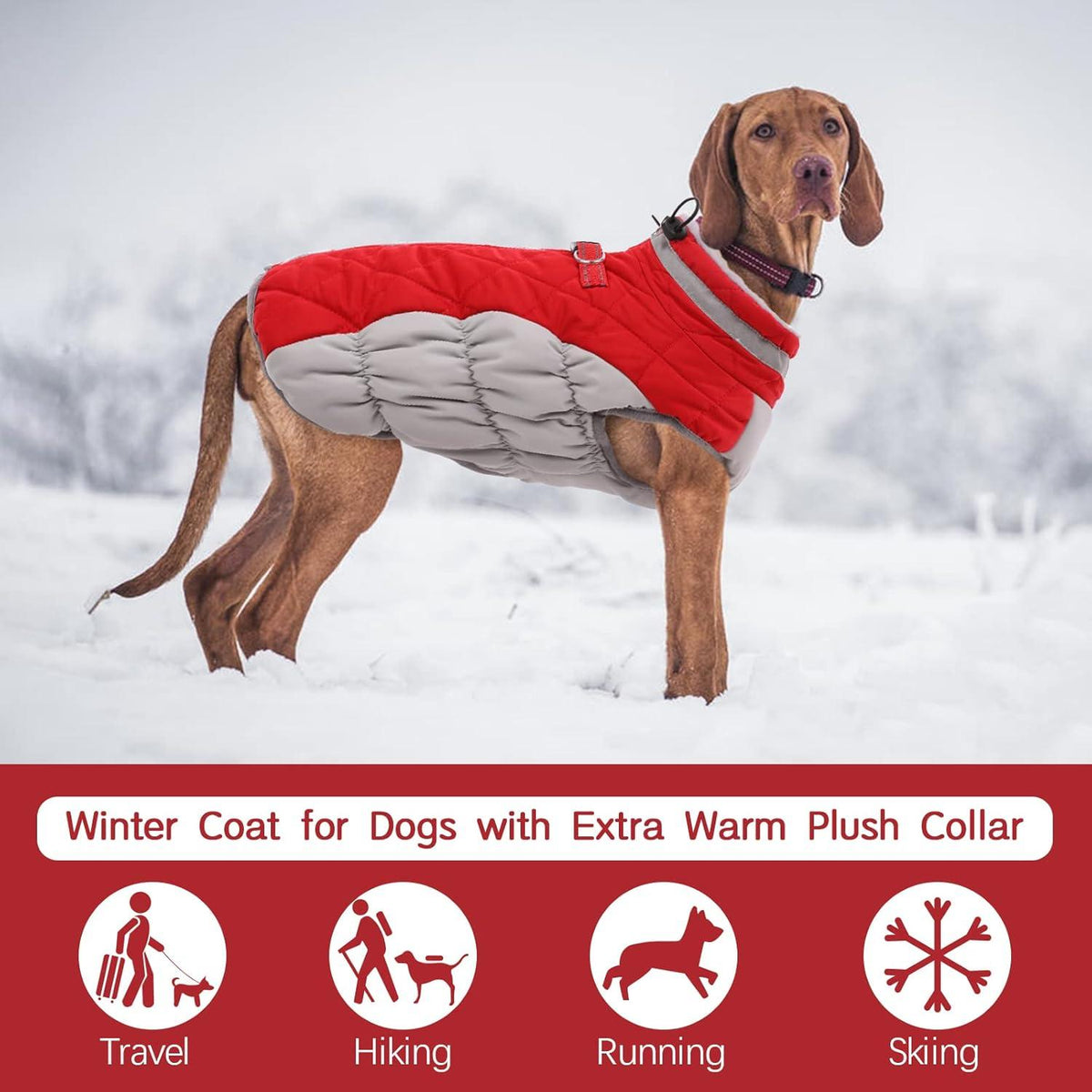 Wasserdichter Hundemantel Winterjacke für Hunde in Rot M Größe