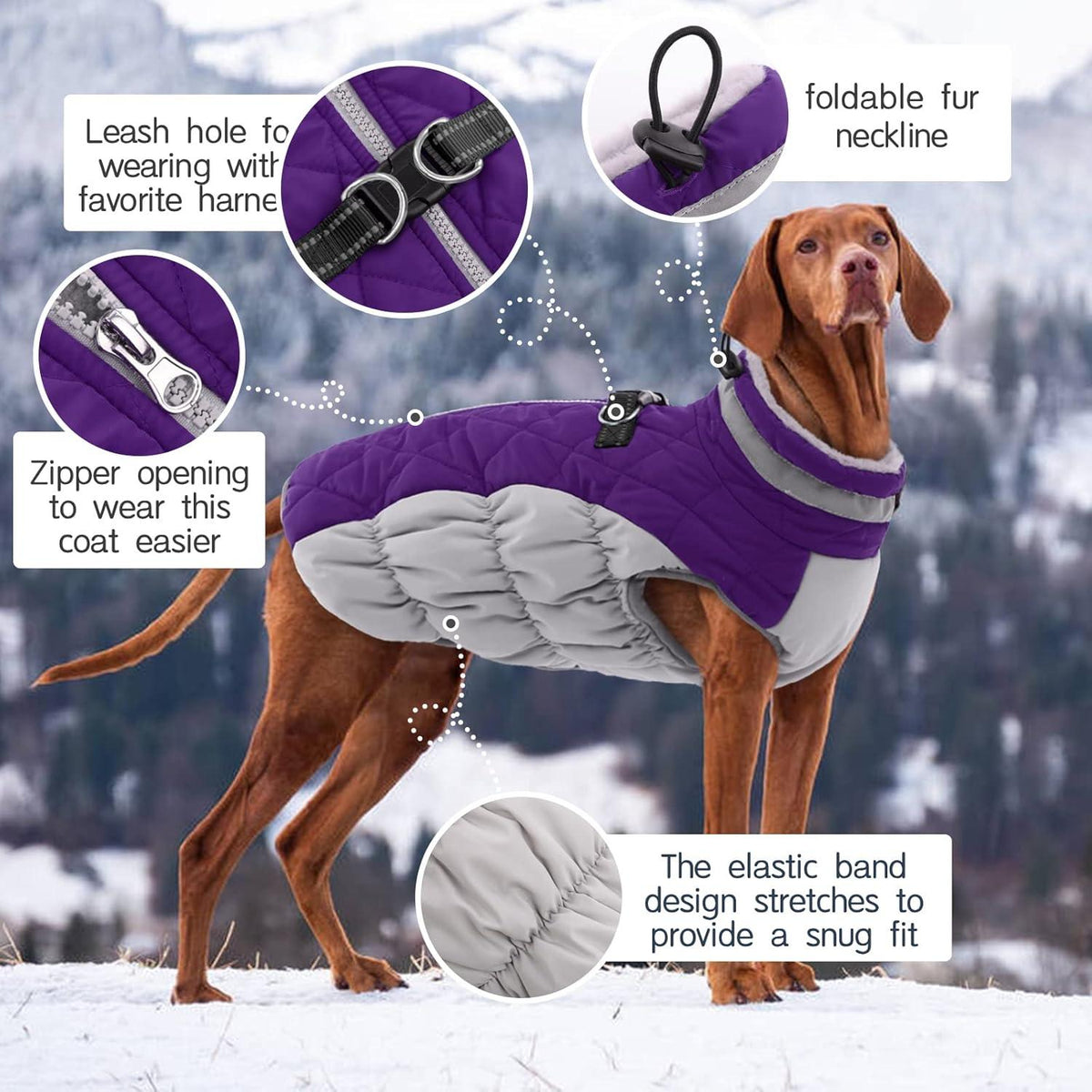 Kuoser Wasserdichter Hundemantel Winterjacke für Hunde