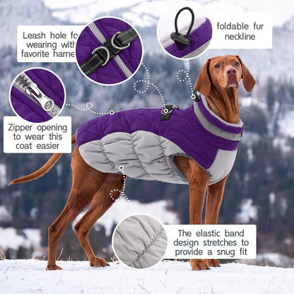 Kuoser Wasserdichter Hundemantel Winterjacke für Hunde