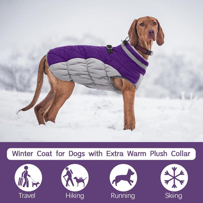Hundemantel Wasserdicht Winterjacke Fleece Gefüttert Reflektierend Welpen Weste Lila