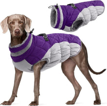 Wasserdichter Hundemantel Winterjacke für Kleine Hunde XXL Lila