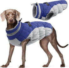Wasserdichter Hundemantel für Kleine Große Hunde Blau