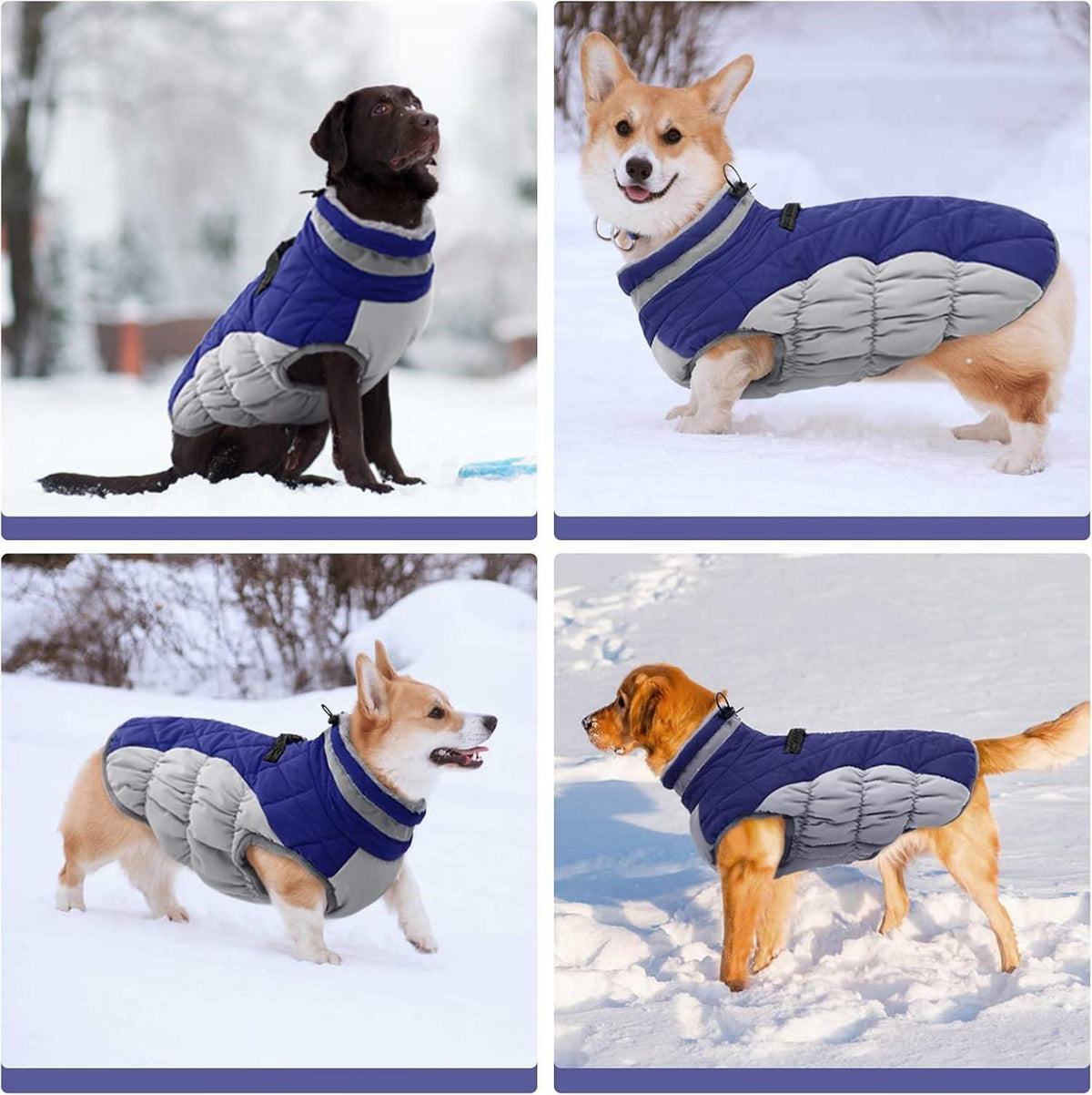 Kuoser Hundemantel Winterjacke Wasserdicht reflektierend warm XXL Blau
