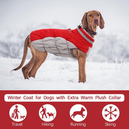 Kuoser Wasserdichter Hundemantel Winterjacke für Mittlere Hunde Rot L