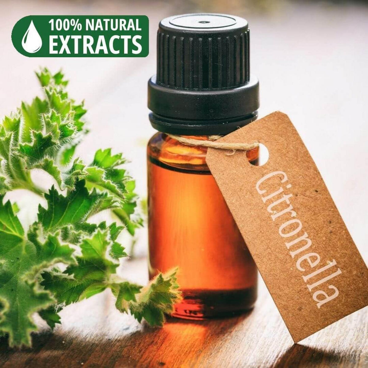 Bio-Räucherstäbchen Citronella 25 Stück | Naturduft & Entspannung