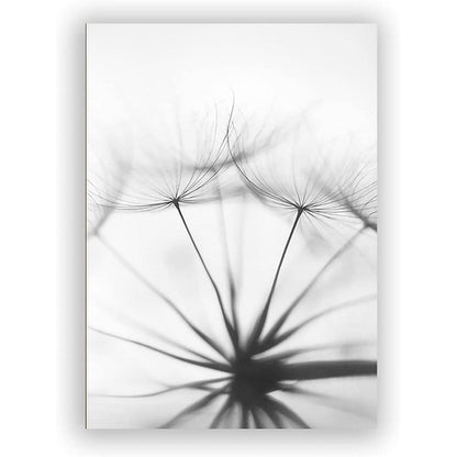 3-teiliges Poster Set Blume Feder Löwenzahn Schwarz Weiß 30x40cm