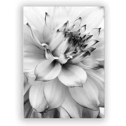 3-teiliges Poster Set Blume Feder Löwenzahn Schwarz Weiß 30x40cm