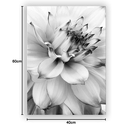 3-teiliges Poster Set Blume Feder Löwenzahn 40x60cm