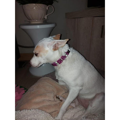 Hundehalsband Perle Violett, Verstellbar M 33cm