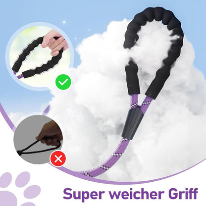 Schleppleine für Hunde, 10m, mit abschließbarem Karabiner, gepolsterter Griff