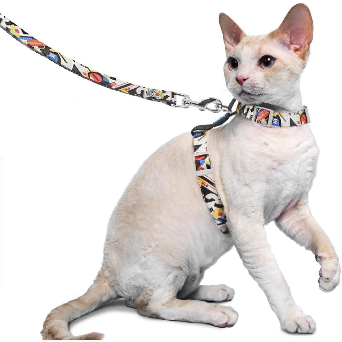 Katzengeschirr ausbruchsicher mit Leine, verstellbar, leicht, M Schwarz