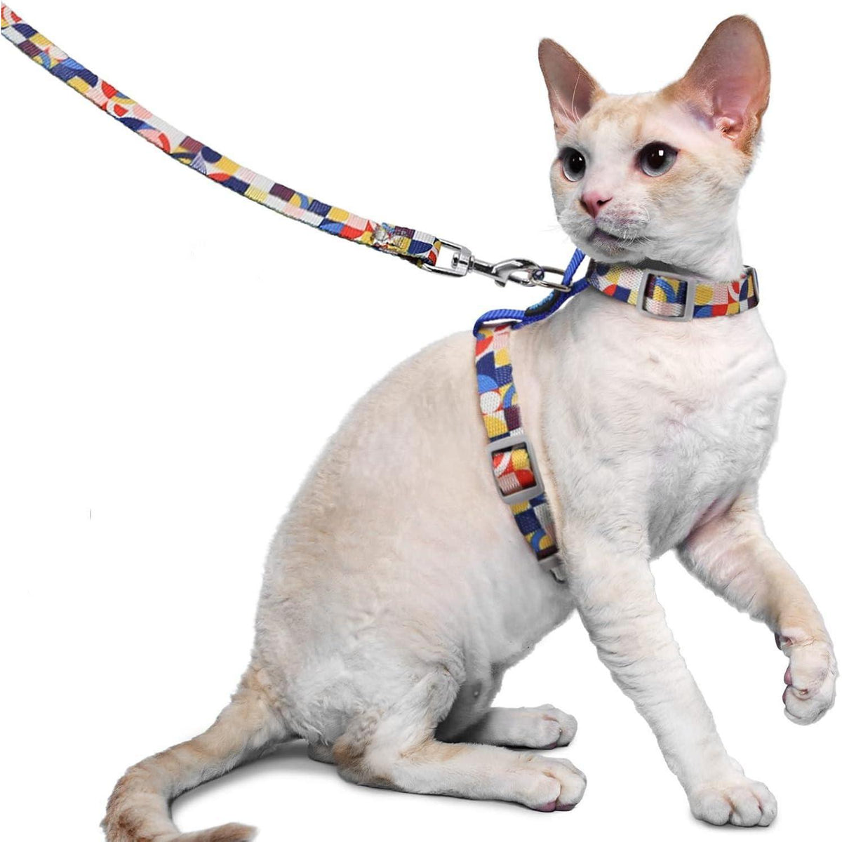 Katzengeschirr Ausbruchsicher Blau S