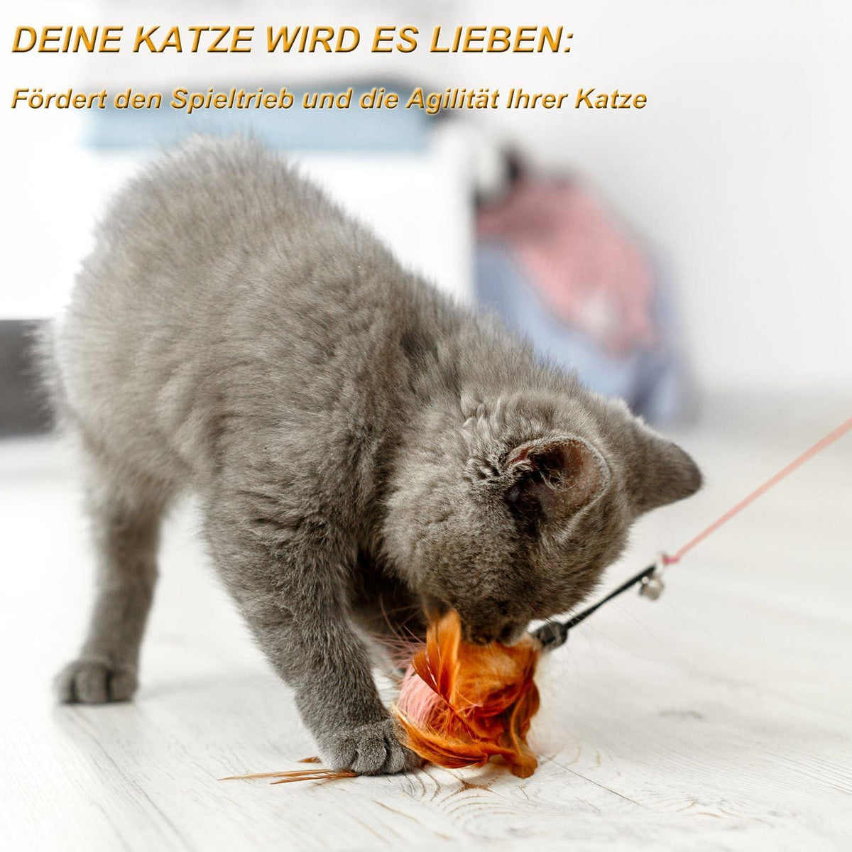 Interaktives Katzenspielzeug Set mit 11 verschiedenen